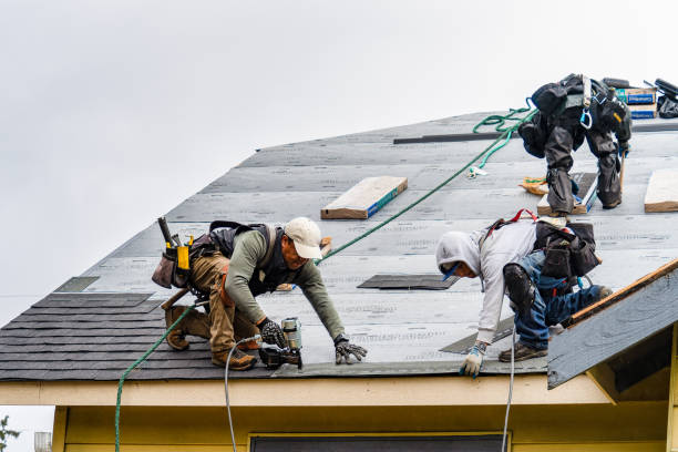 Professional Roofing technician working in Maine, NY